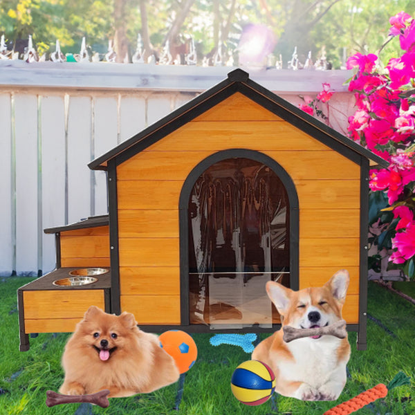 Luxury Durable Outdoor and Indoor Dog House