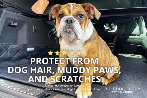 Heavy Duty Trunk Cover Car Protector for Dogs Waterproof Nonslip Mat - Dog Cargo Liner Suvs Vans Cars (Large, Black)